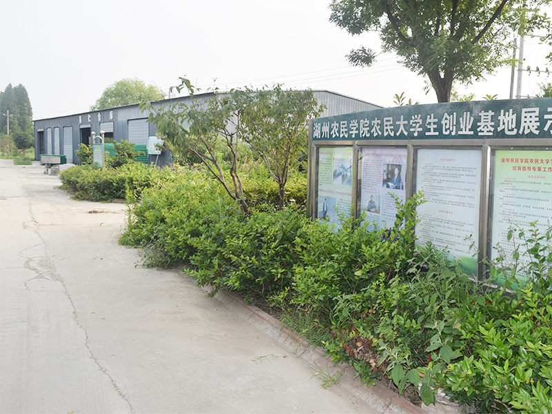 湖羊养殖基地