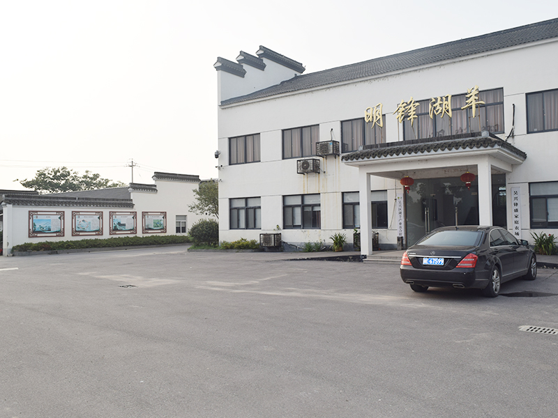 湖羊养殖基地